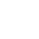 website audit