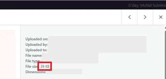 image sizing correction