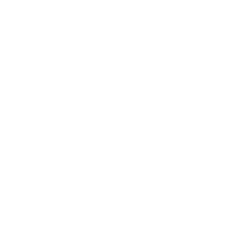 Review Management & Reputation Building